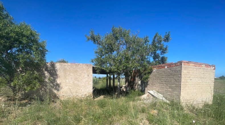 Castellón - Alcalà de Xivert - 14631m2