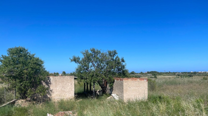 Castellón - Alcalà de Xivert - 14631m2