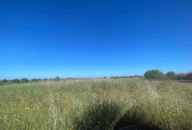 Alcalà de Xivert 14631&nbsp;m²
