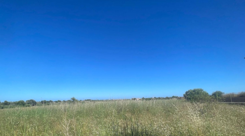 Castellón - Alcalà de Xivert - 14631m2