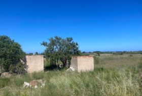 Alcalà de Xivert 14631&nbsp;m²