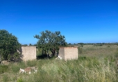 Finca rústica en venta en Alcalà de Xivert ref: TR413998 foto