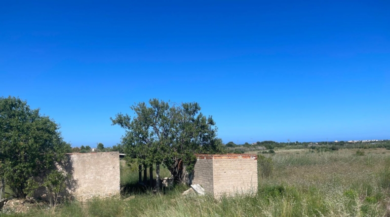 Castellón - Alcalà de Xivert - 14631m2