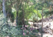 Country house with land for sale in El Gastor ref: TR414000 photo