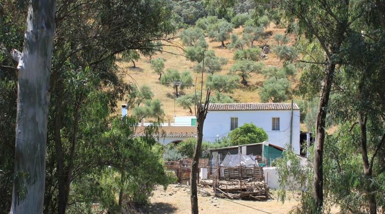 Cádiz - El Gastor - 29434m2