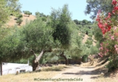 Country house with land for sale in El Gastor ref: TR414000 photo