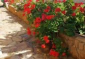 Chalet independiente con terreno en venta en Linares ref: TR414006 foto