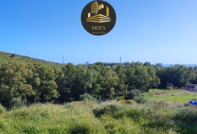 Campo-Mijas 11500&nbsp;m²