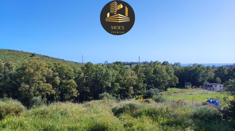 Málaga - Campo-Mijas - 11500m2