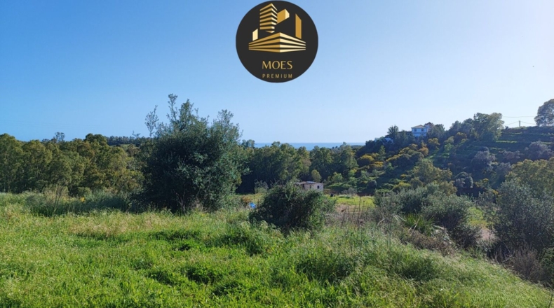 Málaga - Campo-Mijas - 11500m2