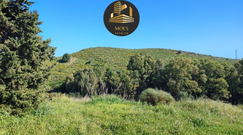 Málaga - Campo-Mijas - 11500m2