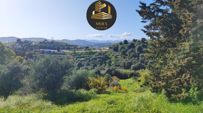 Málaga - Campo-Mijas - 11500m2