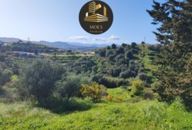 Campo-Mijas 11500&nbsp;m²