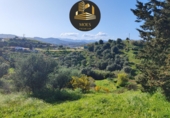 Terreno no urbanizable en venta en Campo-Mijas ref: TR414022 foto
