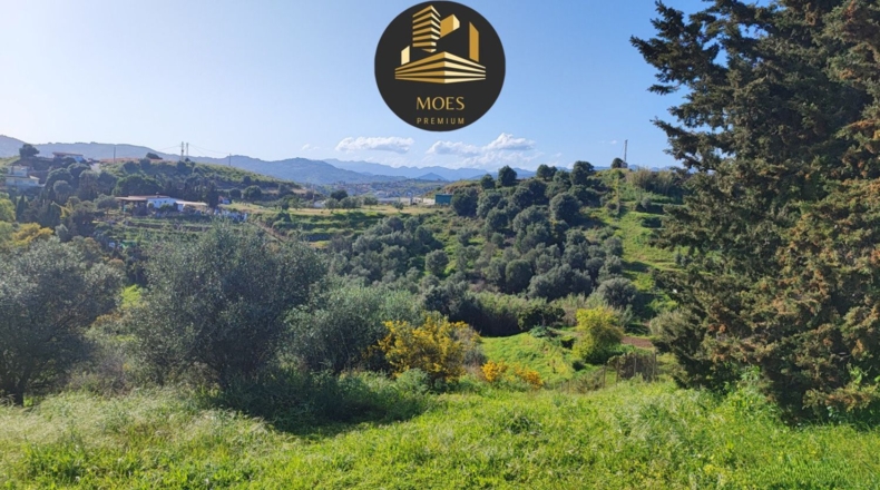 Málaga - Campo-Mijas - 11500m2