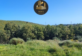 Campo-Mijas 11500&nbsp;m²