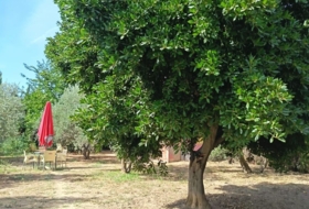 Linares 2000&nbsp;m²