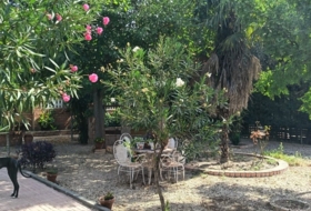 Linares 2000&nbsp;m²