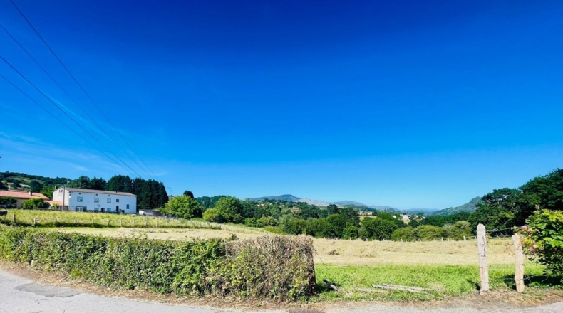 Asturias - Pola de Siero - 1227m2