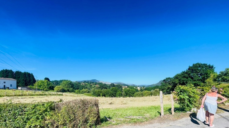 Asturias - Pola de Siero - 1227m2
