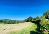 Parcel·la urbanitzable en venda a Pola de Siero ref.: TR414012 foto