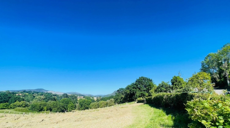 Asturias - Pola de Siero - 1227m2