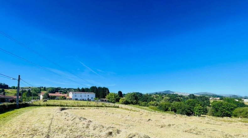 Asturias - Pola de Siero - 1227m2