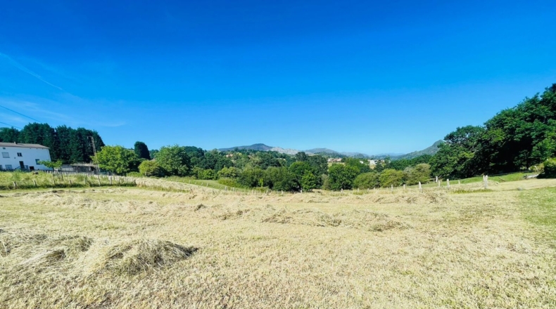 Asturias - Pola de Siero - 1227m2