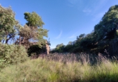 Finca rústica en venta en Aínsa ref: TR397189 foto