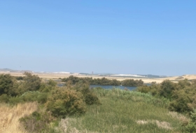 Санлукар-де-Баррамеда 800&nbsp;м²