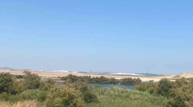Cádiz - Sanlúcar de Barrameda - 800m2