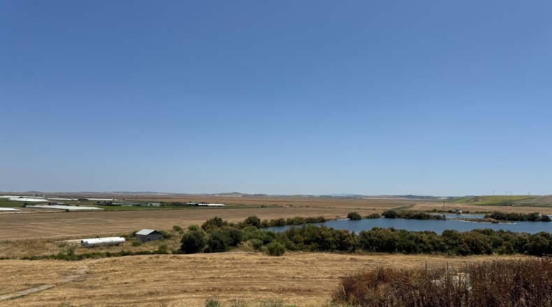 Cádiz - Sanlúcar de Barrameda - 800m2