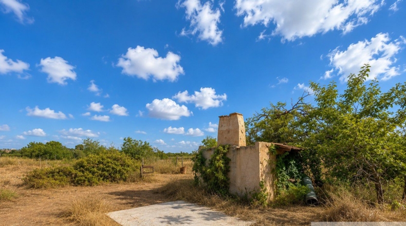 Valencia - Manises - 2285m2