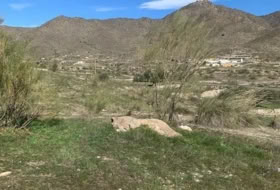 Uleila del Campo 63718&nbsp;m²