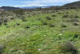 Uleila del Campo 63718&nbsp;m²