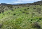 Terreno no urbanizable en venta en la rambla el canal, Uleila del Campo, ref: TR414025 foto