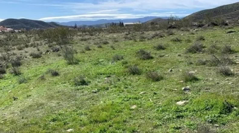 Almería - Uleila del Campo - 63718m2