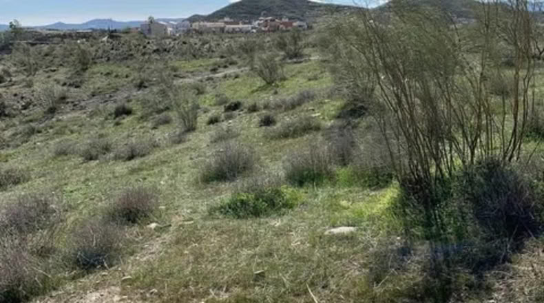 Almería - Uleila del Campo - 63718m2