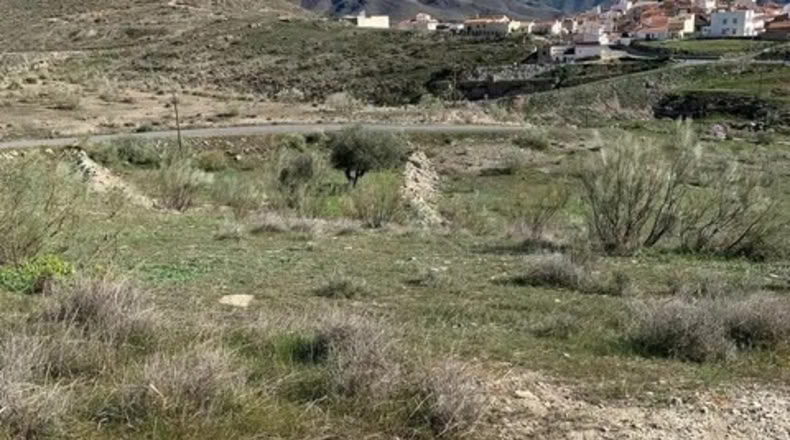 Almería - Uleila del Campo - 63718m2