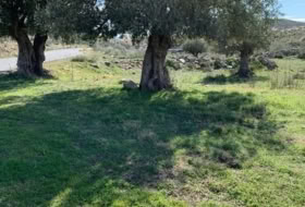 Uleila del Campo 63718&nbsp;m²