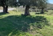 Terreno no urbanizable en venta en la rambla el canal, Uleila del Campo, ref: TR414025 foto