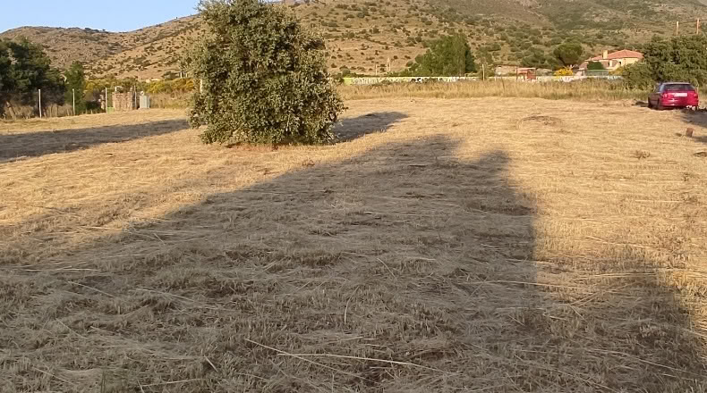 Segovia - Otero de Herreros - 1000m2