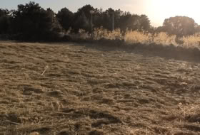 Otero de Herreros 1000&nbsp;m²