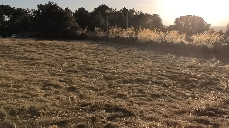 Segovia - Otero de Herreros - 1000m2