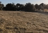Suelo urbano en venta en la Pasaje San Rafael, Otero de Herreros, ref: TR414032 foto