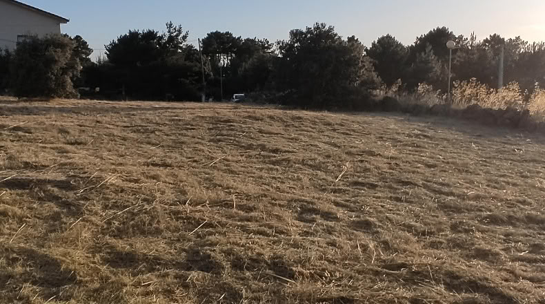 Segovia - Otero de Herreros - 1000m2
