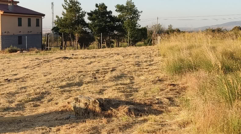 Segovia - Otero de Herreros - 1000m2