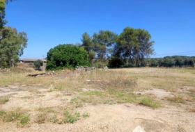 Linares 3806&nbsp;m² 