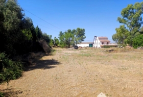 Linares 3806&nbsp;m² 