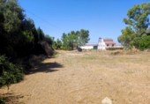Casa de camp amb terreny en venda a la España, Linares, ref.: TR414041 foto